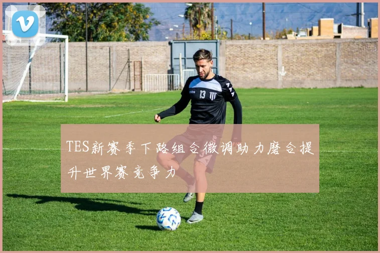 TES新赛季下路组合微调助力磨合提升世界赛竞争力