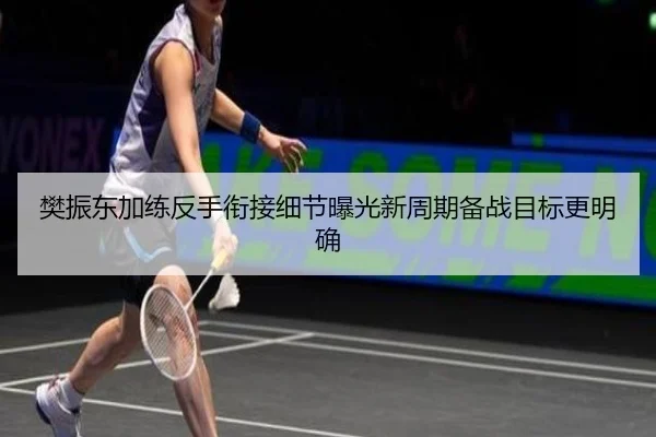 樊振东加练反手衔接细节曝光新周期备战目标更明确