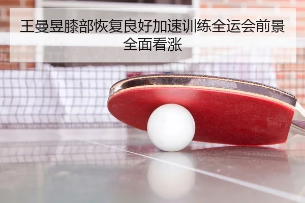 王曼昱膝部恢复良好加速训练全运会前景全面看涨